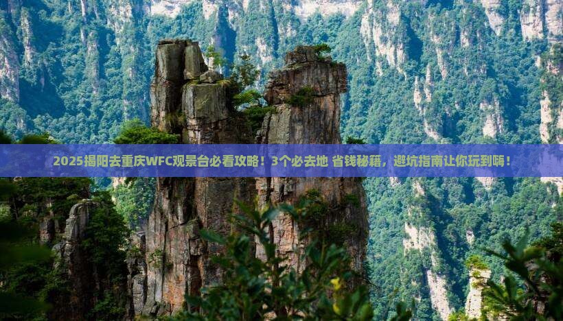 揭阳去重庆wfc观景台必去地