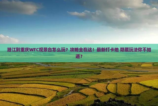 潜江到重庆wfc观景台哪里玩
