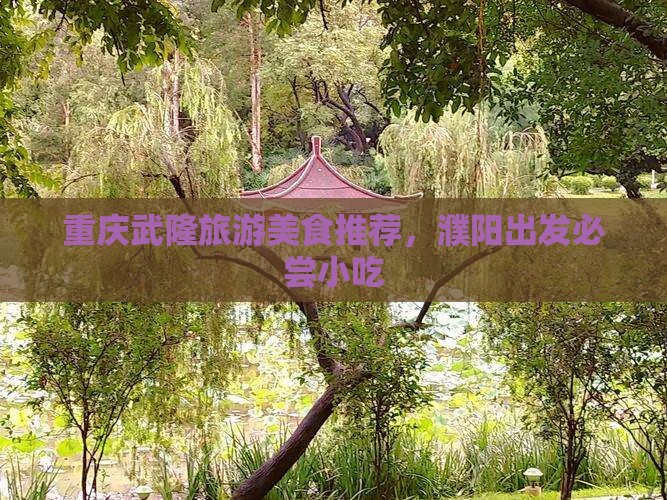 濮阳到重庆武隆旅游小吃