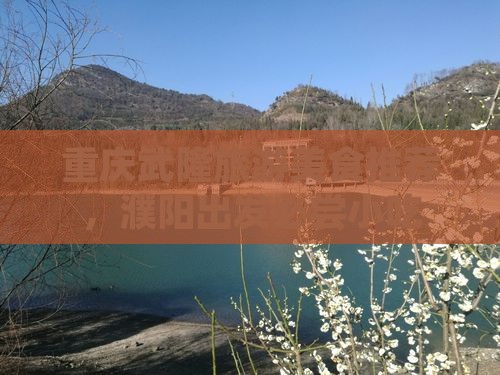 濮阳到重庆武隆旅游小吃