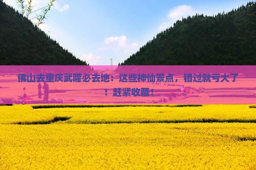 佛山去重庆武隆必去地