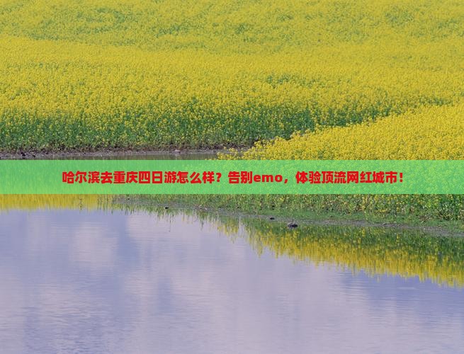 哈尔滨去重庆四日游