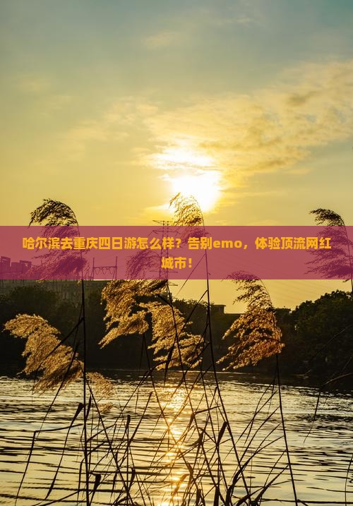 哈尔滨去重庆四日游