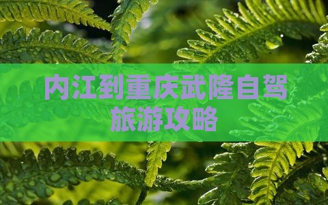 内江到重庆武隆旅游