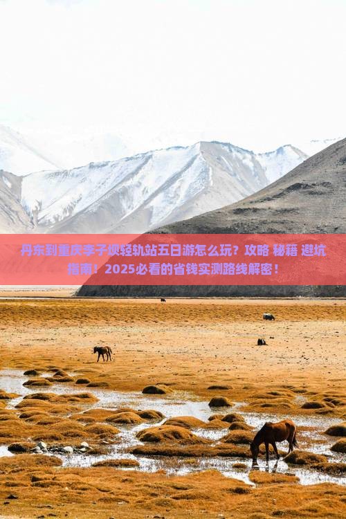 丹东到重庆李子坝轻轨站五日游