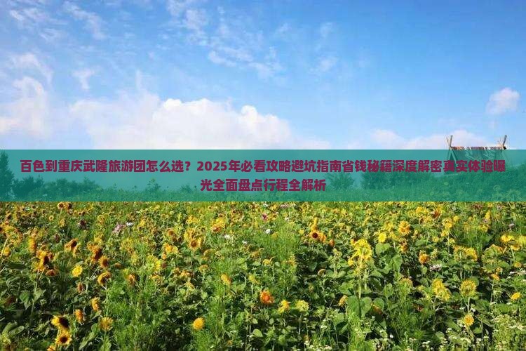 百色到重庆武隆大型旅游团