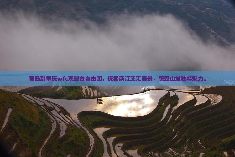 青岛到重庆wfc观景台自由团