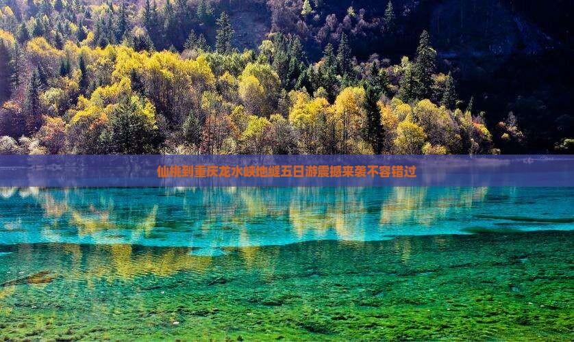 仙桃到重庆龙水峡地缝五日游