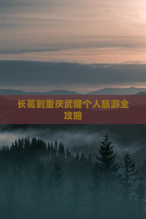 长葛到重庆武隆个人旅游全攻略