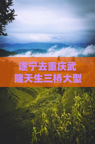遂宁去重庆武隆天生三桥大型旅游团招募启事