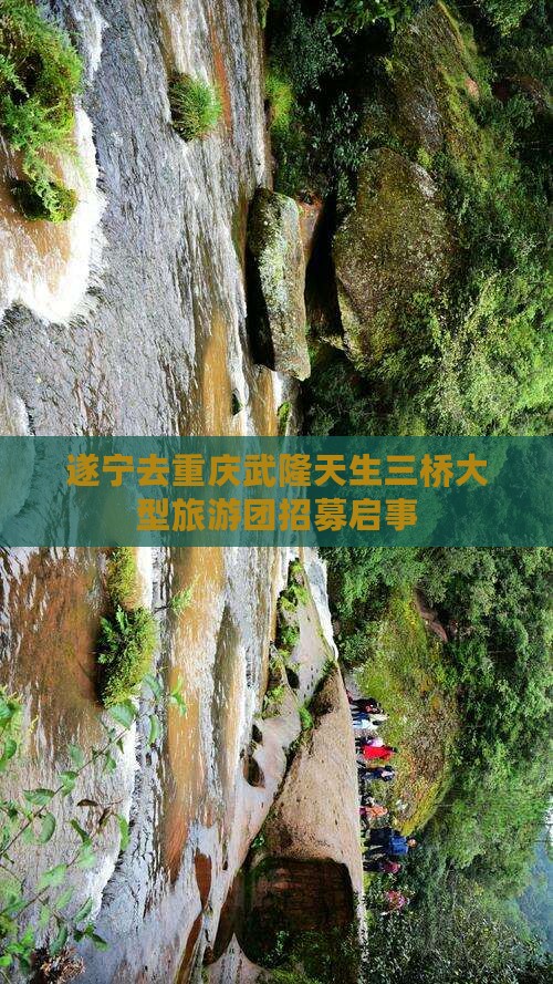 遂宁去重庆武隆天生三桥大型旅游团招募启事