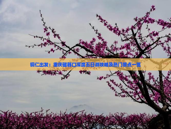 铜仁出发：重庆磁器口深度五日游攻略及热门景点一览