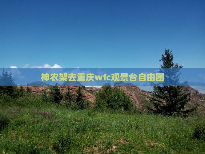 神农架去重庆wfc观景台自由团