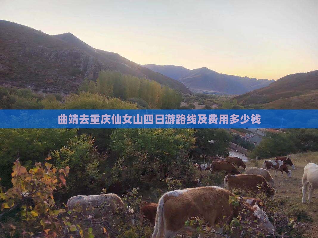 曲靖去重庆仙女山四日游路线及费用多少钱