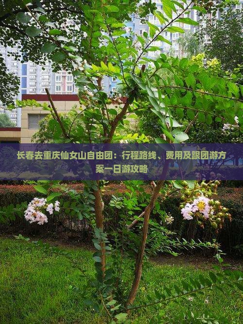 长春去重庆仙女山自由团：行程路线、费用及跟团游方案一日游攻略