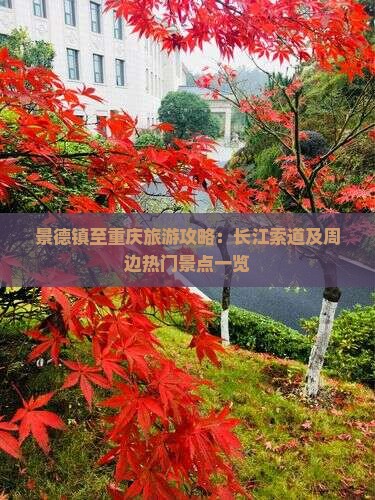 景德镇至重庆旅游攻略：长江索道及周边热门景点一览