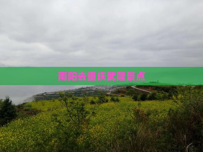南阳去重庆武隆景点