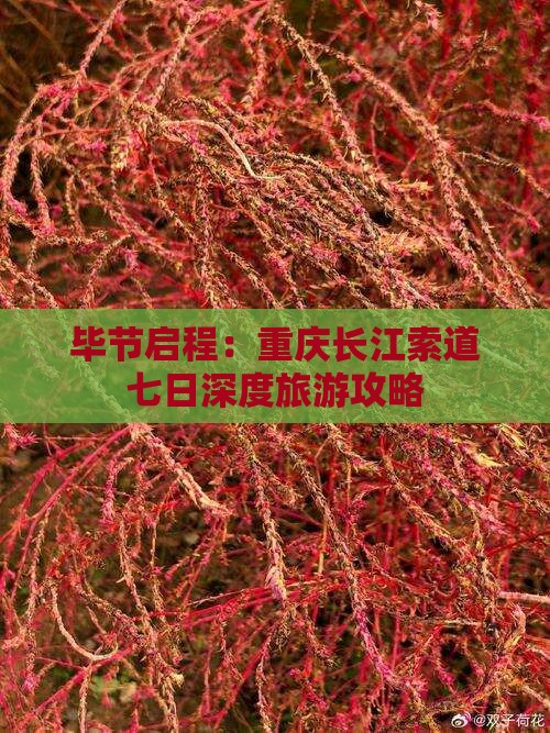 毕节启程：重庆长江索道七日深度旅游攻略