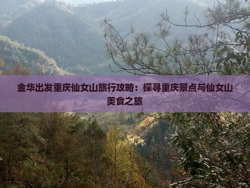 金华出发重庆仙女山旅行攻略：探寻重庆景点与仙女山美食之旅