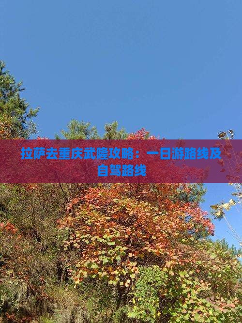 拉萨去重庆武隆攻略：一日游路线及自驾路线