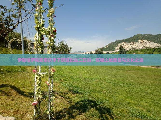 伊犁哈萨克到重庆李子坝轻轨站三日游：探秘山城美景与文化之旅