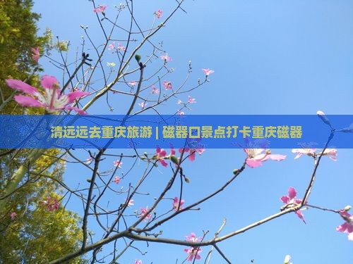 清远远去重庆旅游 | 磁器口景点打卡重庆磁器