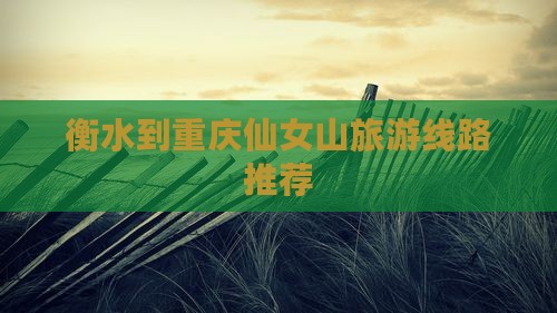 衡水到重庆仙女山旅游线路推荐