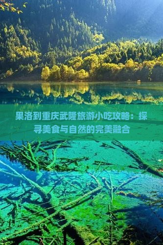 果洛到重庆武隆旅游小吃攻略：探寻美食与自然的完美融合