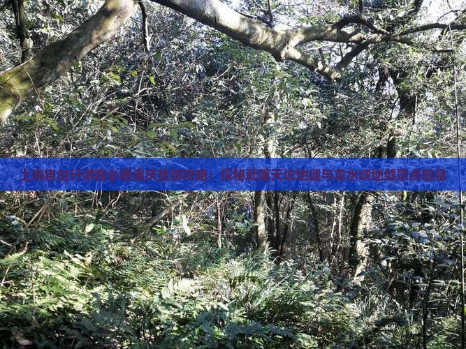 上海自由行游客必看重庆旅游攻略：探秘武隆天坑地缝与龙水峡地缝景点信息