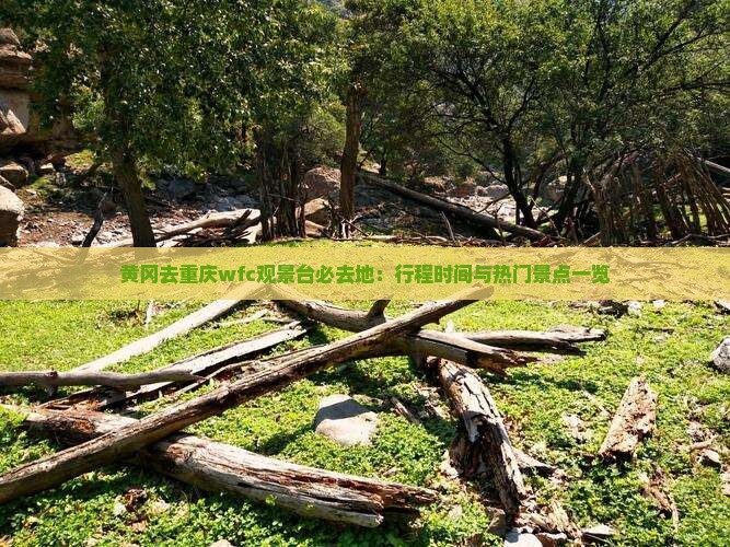 黄冈去重庆wfc观景台必去地：行程时间与热门景点一览