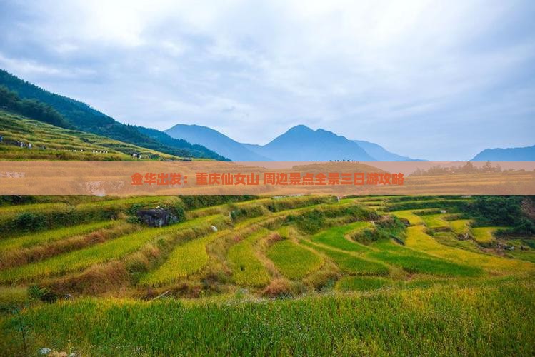 金华出发：重庆仙女山+周边景点全景三日游攻略