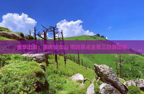 金华出发：重庆仙女山+周边景点全景三日游攻略
