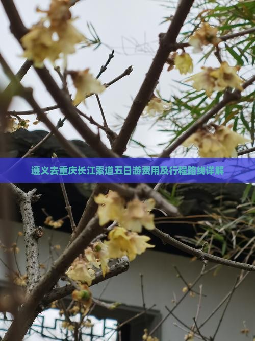 遵义去重庆长江索道五日游费用及行程路线详解