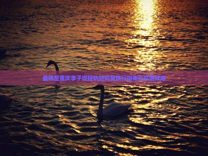 盘锦至重庆李子坝轻轨站完整旅行指南与交通攻略