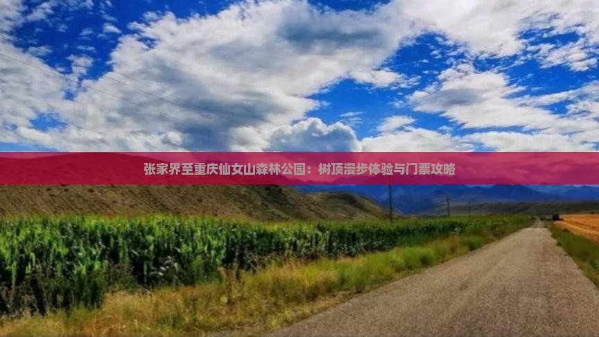张家界至重庆仙女山森林公园：树顶漫步体验与门票攻略