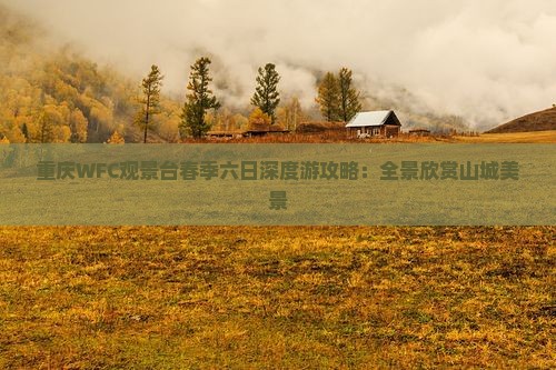 重庆WFC观景台春季六日深度游攻略：全景欣赏山城美景