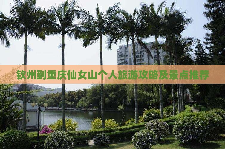 钦州到重庆仙女山个人旅游攻略及景点推荐