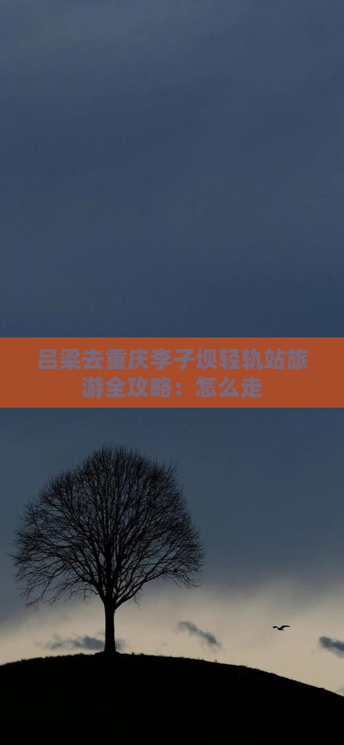 吕梁去重庆李子坝轻轨站旅游全攻略：怎么走