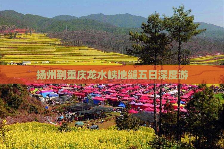 扬州到重庆龙水峡地缝五日深度游