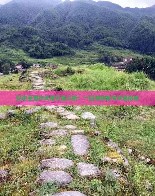 延边至重庆武隆天生三桥：一日游攻略与交通指南
