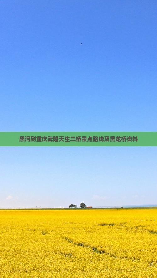 黑河到重庆武隆天生三桥景点路线及黑龙桥资料
