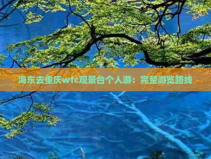 海东去重庆wfc观景台个人游：完整游览路线