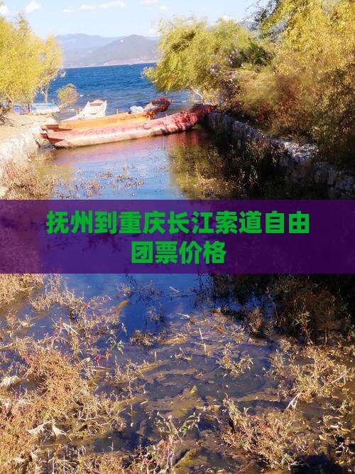 抚州到重庆长江索道自由团票价格