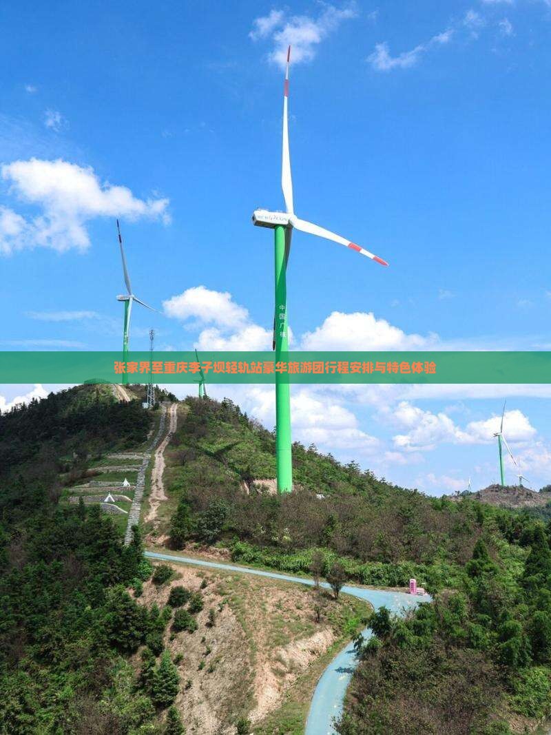 张家界至重庆李子坝轻轨站豪华旅游团行程安排与特色体验