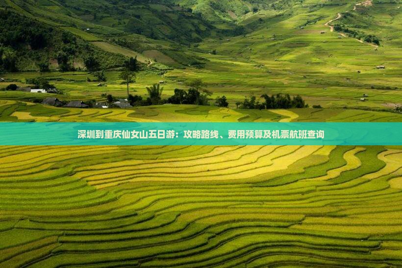 深圳到重庆仙女山五日游：攻略路线、费用预算及机票航班查询