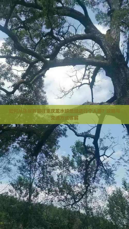 如何从张家界前往重庆龙水峡地缝进行个人游？攻略与交通方式详解