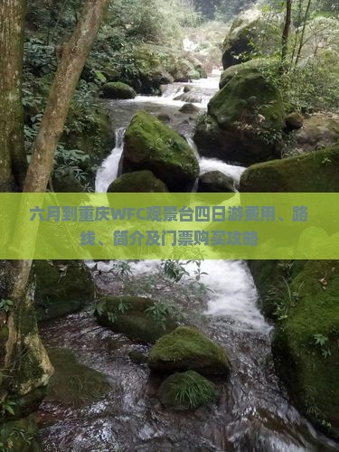 六月到重庆WFC观景台四日游费用、路线、简介及门票购买攻略