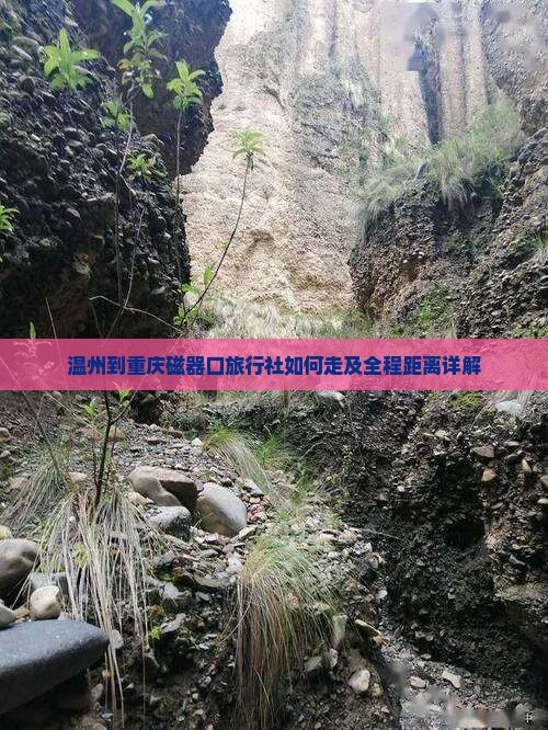 温州到重庆磁器口旅行社如何走及全程距离详解