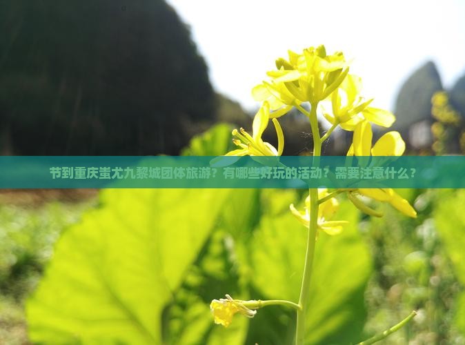 节到重庆蚩尤九黎城团体旅游？有哪些好玩的活动？需要注意什么？