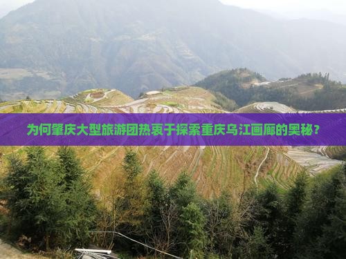 为何肇庆大型旅游团热衷于探索重庆乌江画廊的奥秘？